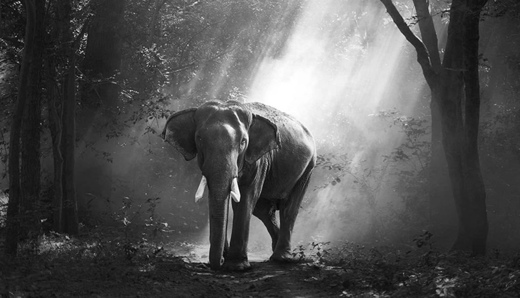 Mid01 Free Img 1024x587